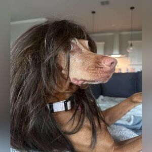 Welcome to my closet 😃